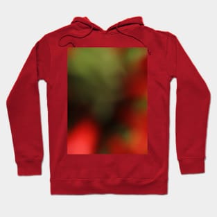 Multicolored bokeh abstract Hoodie